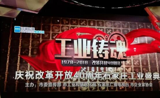 重磅|躍迪旗下河北新宇宙榮獲石家莊市“工業(yè)鑄魂”大型評選活動(dòng)金雁獎(jiǎng)